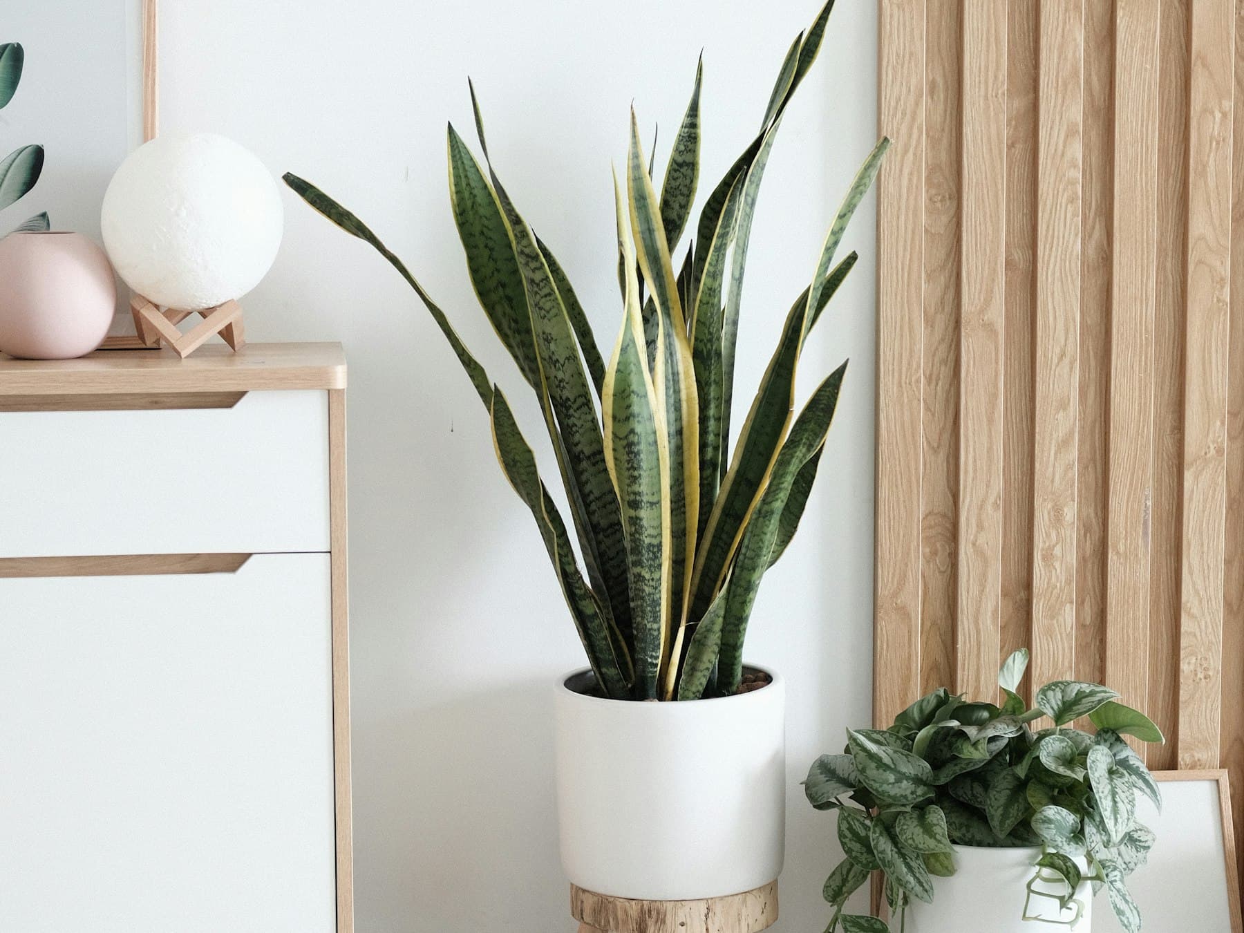Ambiance Scandinave
